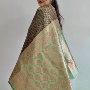 Banarasi Soft Silk Saree for Women Green with Designer Zari Border with boues pic